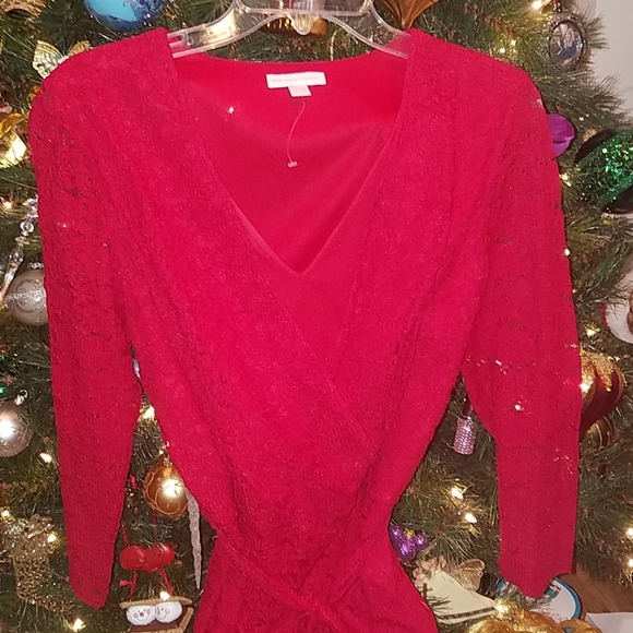 Red Lace Dress - Picture 3 of 4